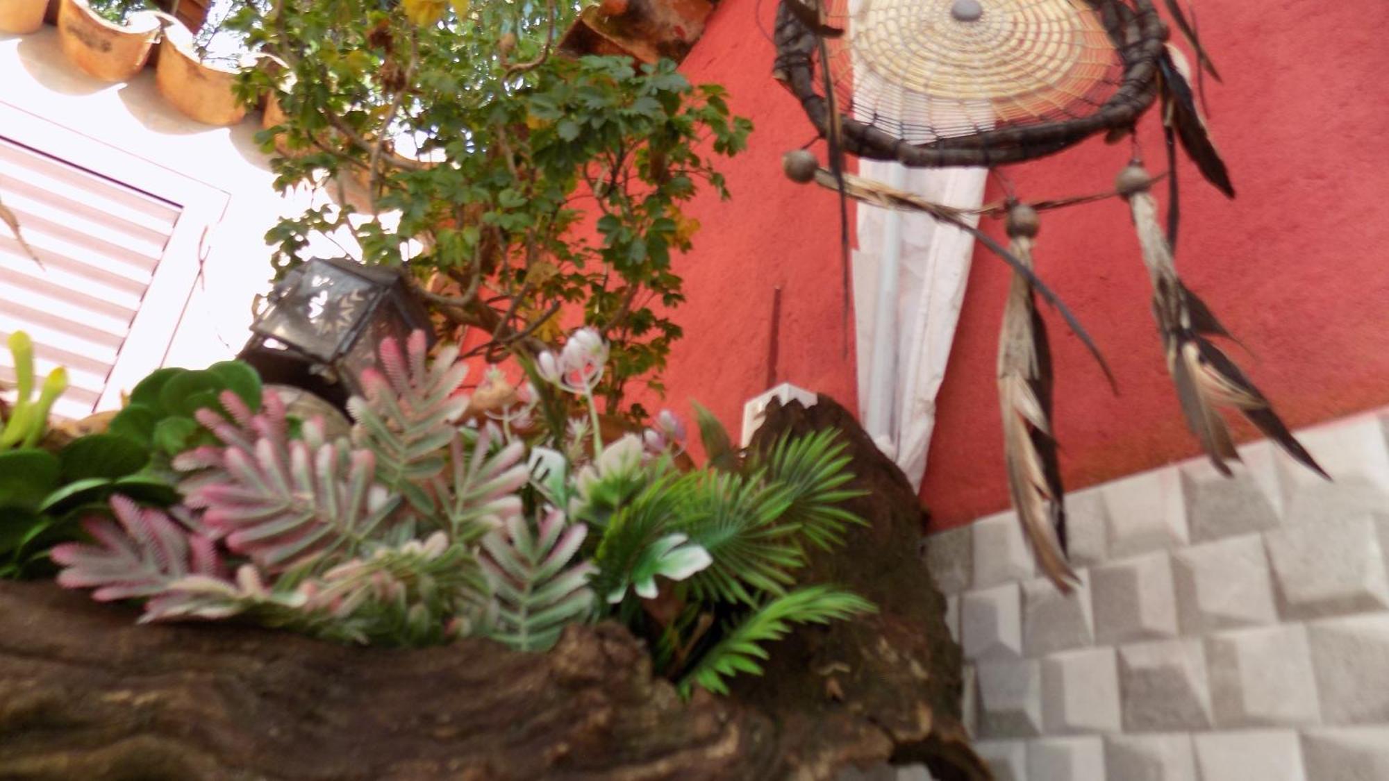 Pousada Fenix Pirenópolis Buitenkant foto